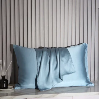 Funda de Almohada de Seda 2