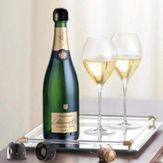 Sellador Botella 1