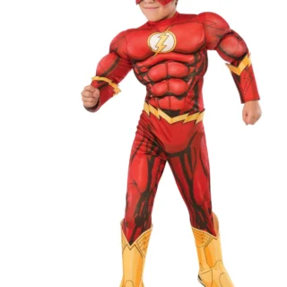 Disfraz Flash