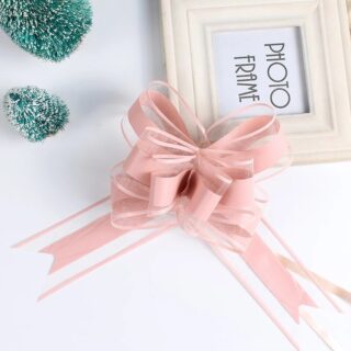 Cintas de Regalo 1