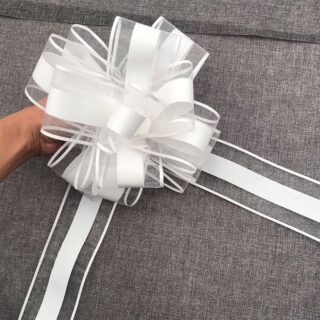 Cintas de Regalo 5