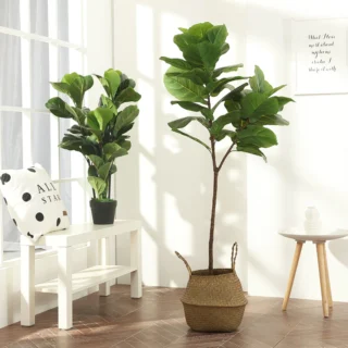 Plantas Artificiales 11
