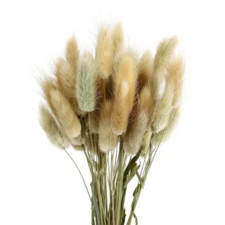 Plantas Artificiales 12