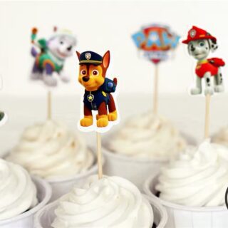 Cumpleaños Paw Patrol 11